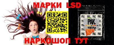 молекула духа Новозыбков