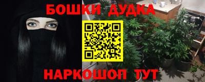молекула духа Новозыбков