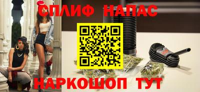 молекула духа Новозыбков