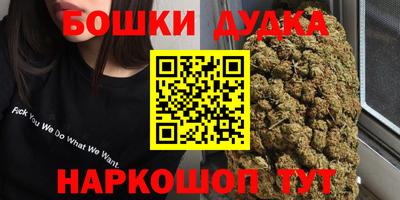 дмт Новокубанск
